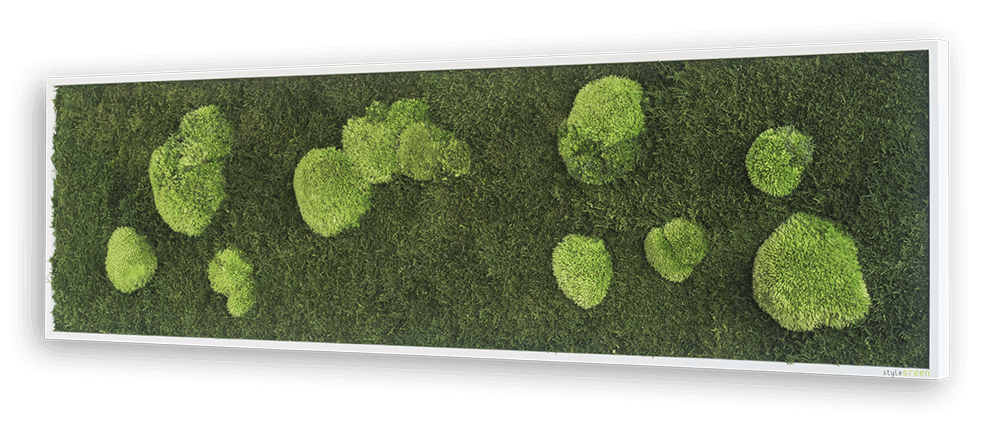 Wald- und Kugelmoosbild 140x40cm