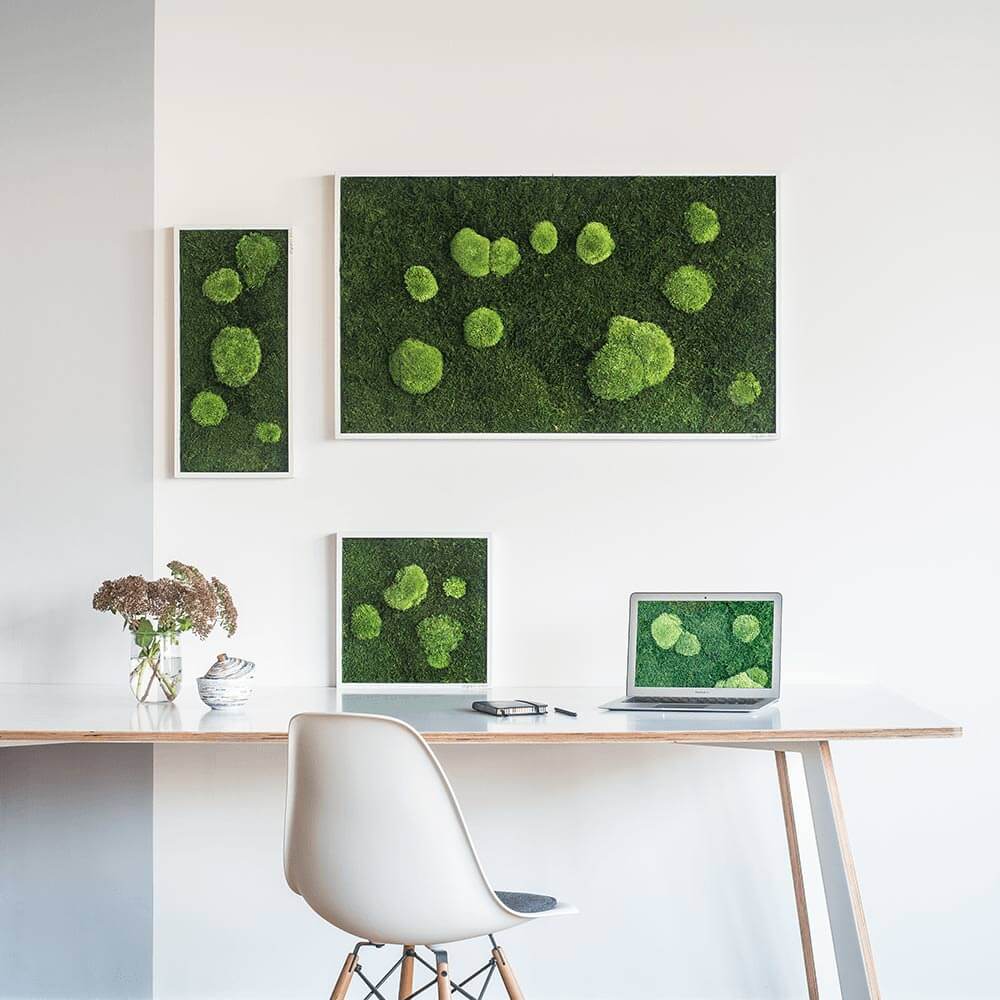 Wald- und Kugelmoosbild 100x60cm